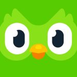 duolingo duolingo