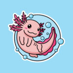 JoeyDragon JoeyDragon