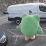 natteru